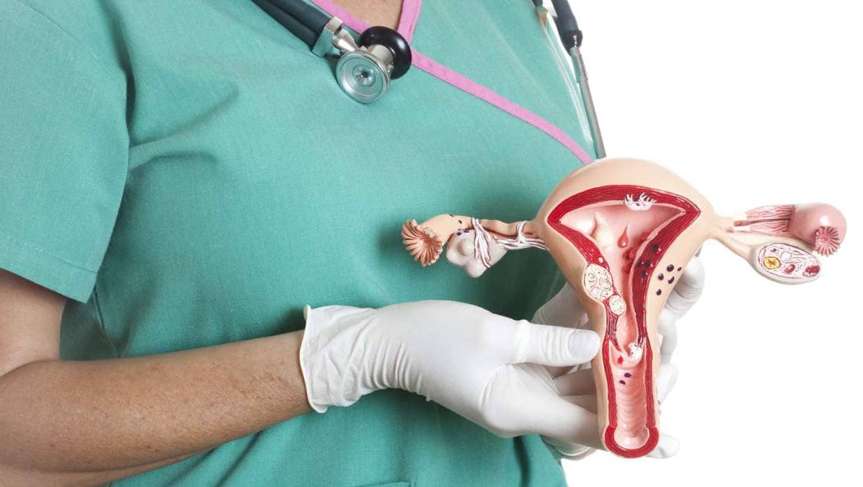 Endometrium to jedna z kluczowych struktur w organizmach kobiet, która pełni istotną rolę w cyklu miesiączkowym i reprodukcji